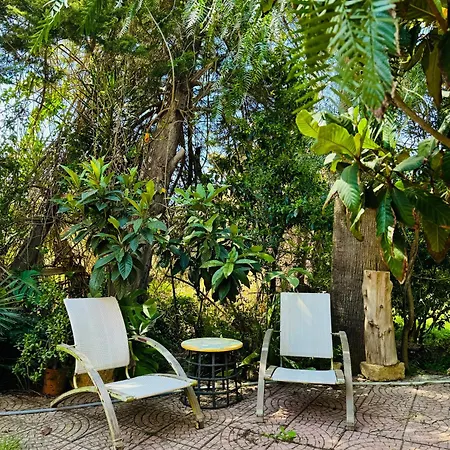 Artist House Agrigento