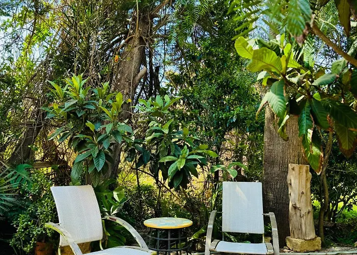 Artist House 阿格里真托